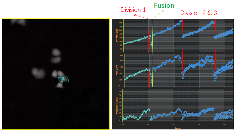 2、細胞譜系研究-2.png
